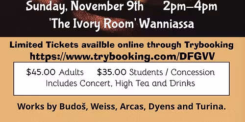 Springtime Guitars - Mari\u00e1n Budo\u0161 and Sam Roberts