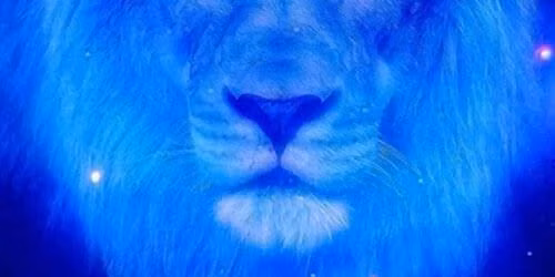 Lion's Gate Portal Energetic Healing & Activation
