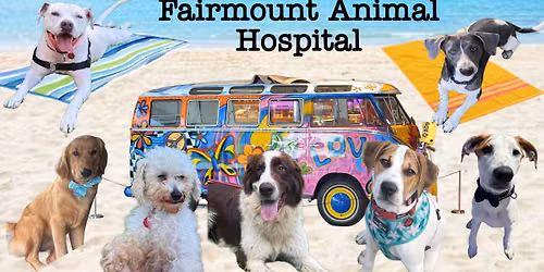 Dog Daze of Summer Adoption Event 