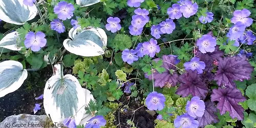 HPSW Spring Plant Sale