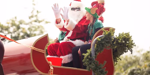 A Very Palmy Christmas