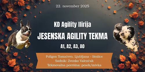 Agility tekma KD Agility Ilirija - ODPOVEDANO