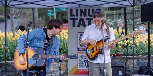 Linus Tate Unplugged | The Phelps Bar\/Top of the Park