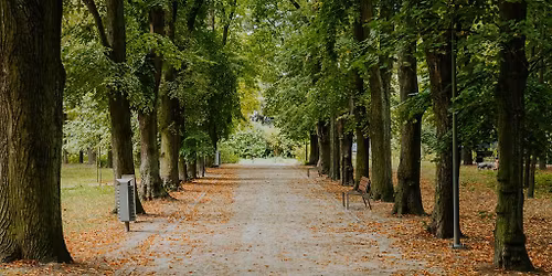 S\u0105siedzki Spacer Literacko-Przyrodniczy: pielgrzymka do pomnikowego d\u0119bu