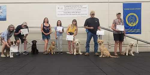 Puppy Classes at Creature Comforts