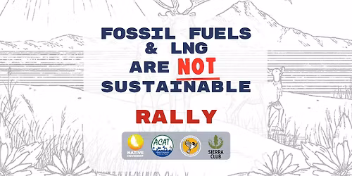 Fossil Fuels and LNG are NOT Sustainable Rally