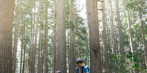 Chattanooga, TN | PMBIA Level 1 Course