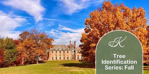 Tree Identification Series: Part 2 - Fall