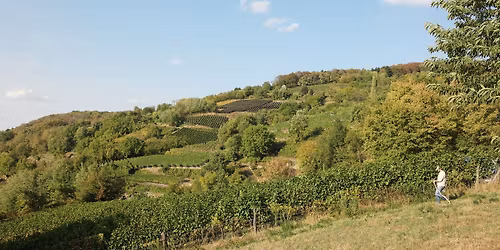 Danny Wuenschel live @ Weinmarkt Heppenheim