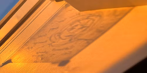 Oracle 2026 Portrait