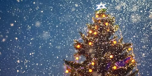 Album Surprise at the Surprise Party & Tree Lighting!