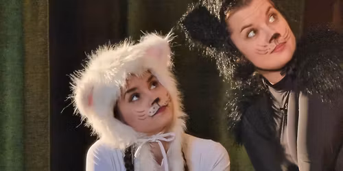 Frakk, a macsk\u00e1k r\u00e9me