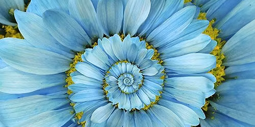 ECK Book Discussion: "The Spiritual Laws of Life" in Lincoln NE