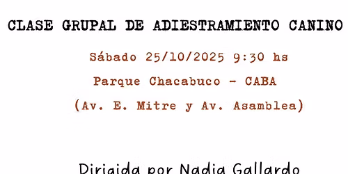 Clase grupal adiestramiento canino