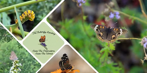 Advanced Pollinator Gardening