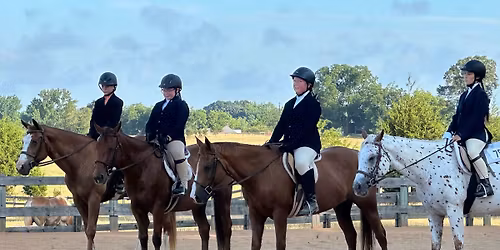 Open and Schooling Show series