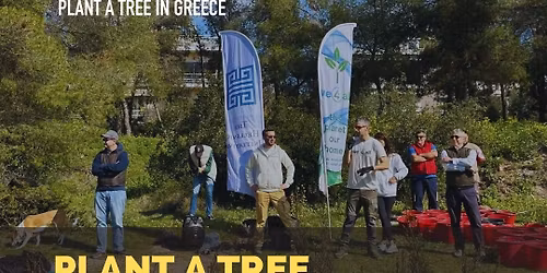 Tree Planting Project, Pikilo Oros, Attiki - November 2025