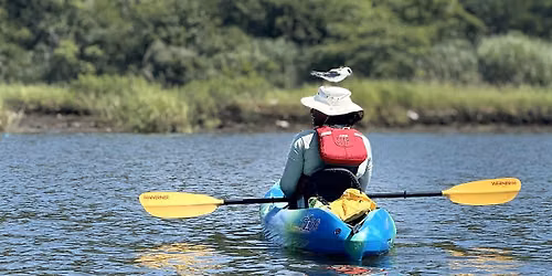 Kayak Tour: Birds on the Bay
