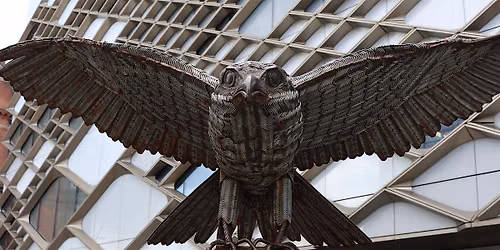 Heritage Open Day: Peregrines, Plantables and Totem Poles