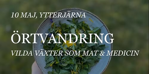 \u00d6rtvandring - Vilda v\u00e4xter som mat & medicin