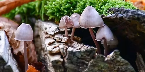 R\u00e9seau des temp\u00eates - Journ\u00e9e de Travail Qui Relie