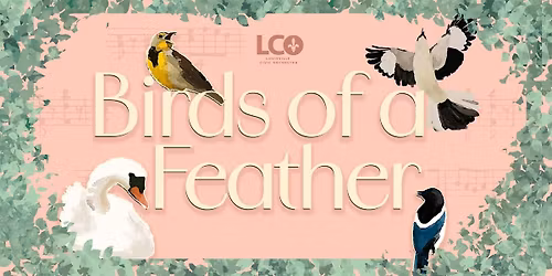 Signature 3: Birds of a Feather