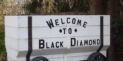 Adoption Event at Black Diamond Labor Days Festival! (Day 2)
