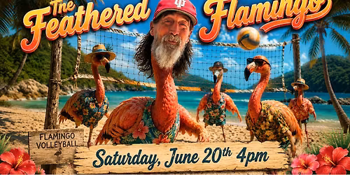 Naturday Eve - Feathered Flamingo "Retirement Party" C4's & C6's