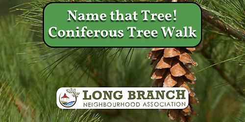 Coniferous Trees Walking Tour