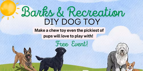 Barks & Recreation: DIY Dog Toy