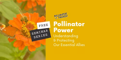 FREE Seminar | Pollinator Power: Understanding & Protecting Our Essential Allies