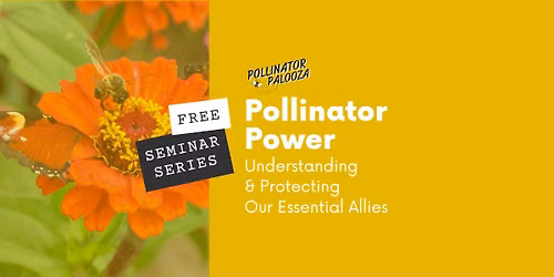 FREE Seminar | Pollinator Power: Understanding & Protecting Our Essential Allies