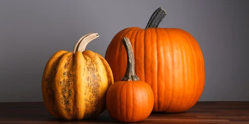SAMHAIN: Wheel of the Year Class with Lanie