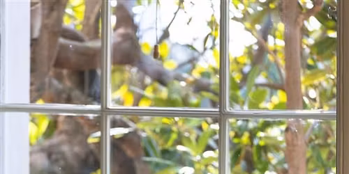 A Winter Celebration - With Piano Recital by Olga Paliy