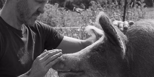 SONGS FOR THE VOICELESS