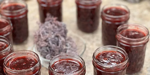 Canning Sea Moss Jam  