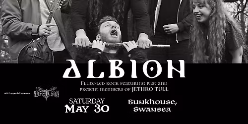 Albion with Adfeilion at The Bunkhouse, Swansea