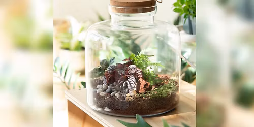 Titan Terrarium Workshop