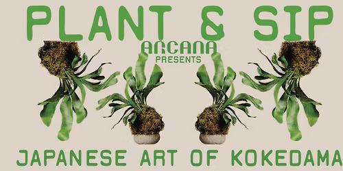 Arcana Plant & Sip with Anna - June