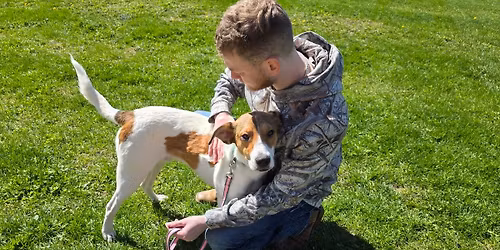 Veterans Interested In Receiving Companion Animal