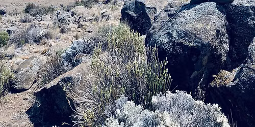 marangu route Kilimanjaro $1200