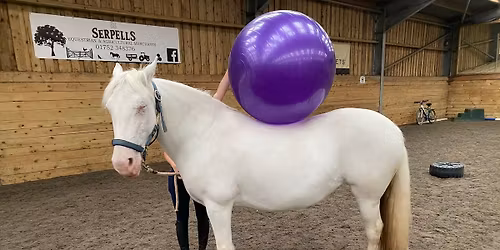 Groundwork & Obstacle clinic 