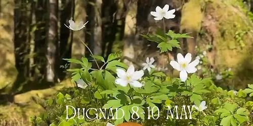 Dugnad Weekend 3