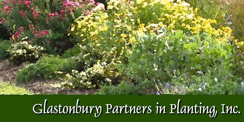 Welles Shipman Ward House \u2013 Kitchen Garden cleanup before Winter