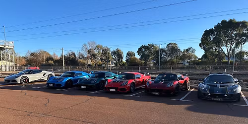 December Lotus Christmas EMR