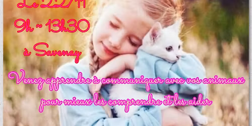 Stage communication Animale 