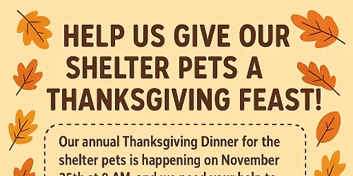 Thanksgiving Meal for shelter pets