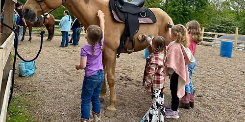 Summer Homeschool Horse Class!