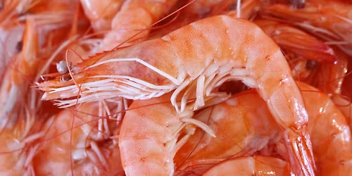 Medlemsm\u00f8te \u2013 julem\u00f8te med reker \u2013 desember 2025