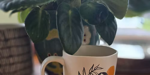 Christmas Crochet "Coasters" with Irene Worth